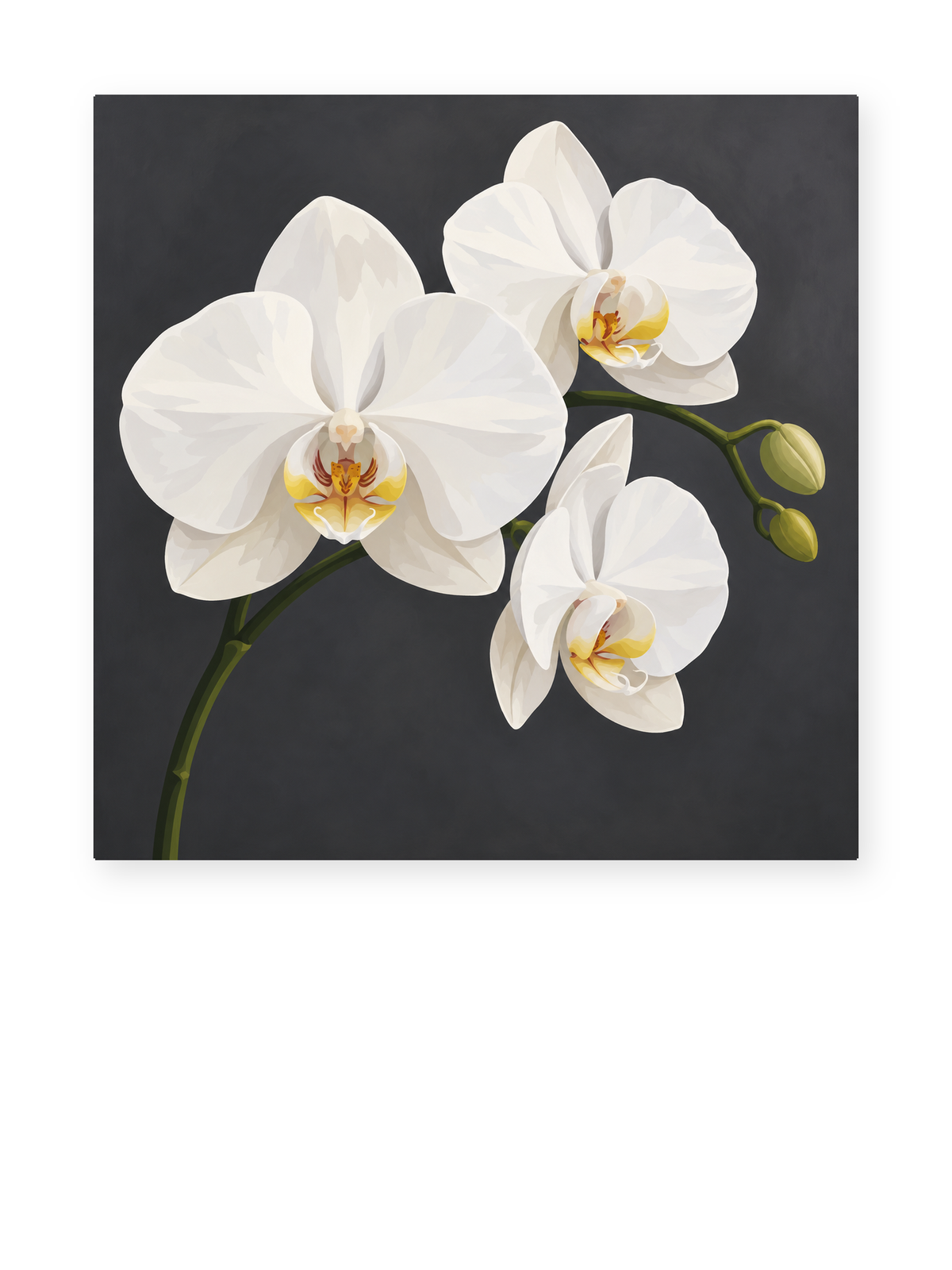 White Orchids paint by numbers artwork for adults