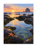 Rocky Tide Pool coastal paint by numbers artwork for adults